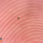 دانشمندان با تولید ربات خورشیدی ارزان، دنیای نانو تکنولوژی را متحول کردند