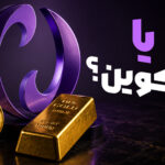 گزارش ویدیوی از رویداد فدرال افکت نوبیتکس